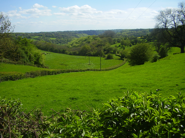 Toadsmoor Valley in the spring